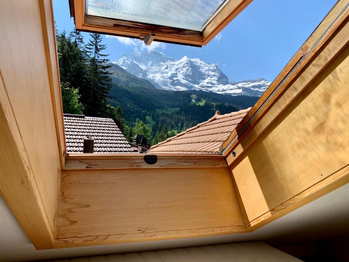 Chalet Aargovia Wengen Exteriör bild