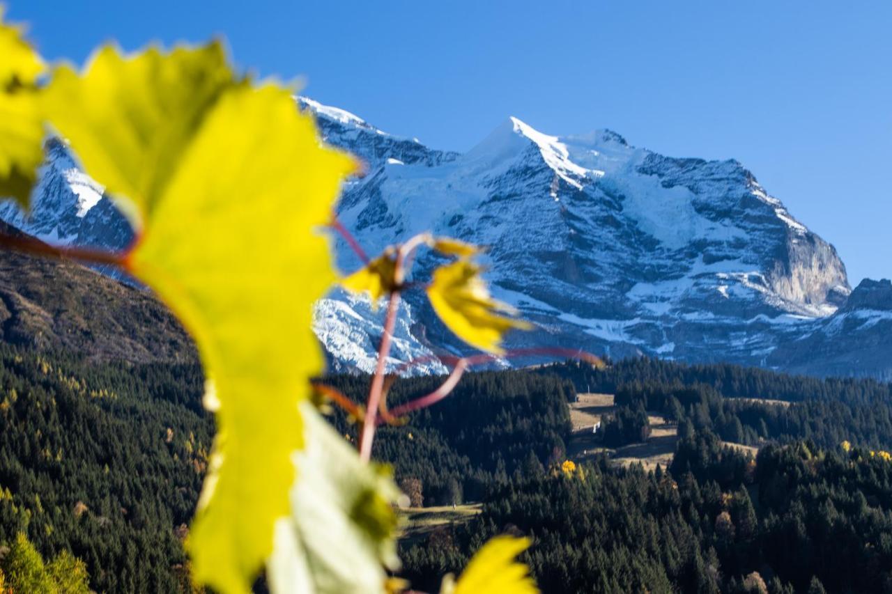 Chalet Aargovia Wengen Exteriör bild