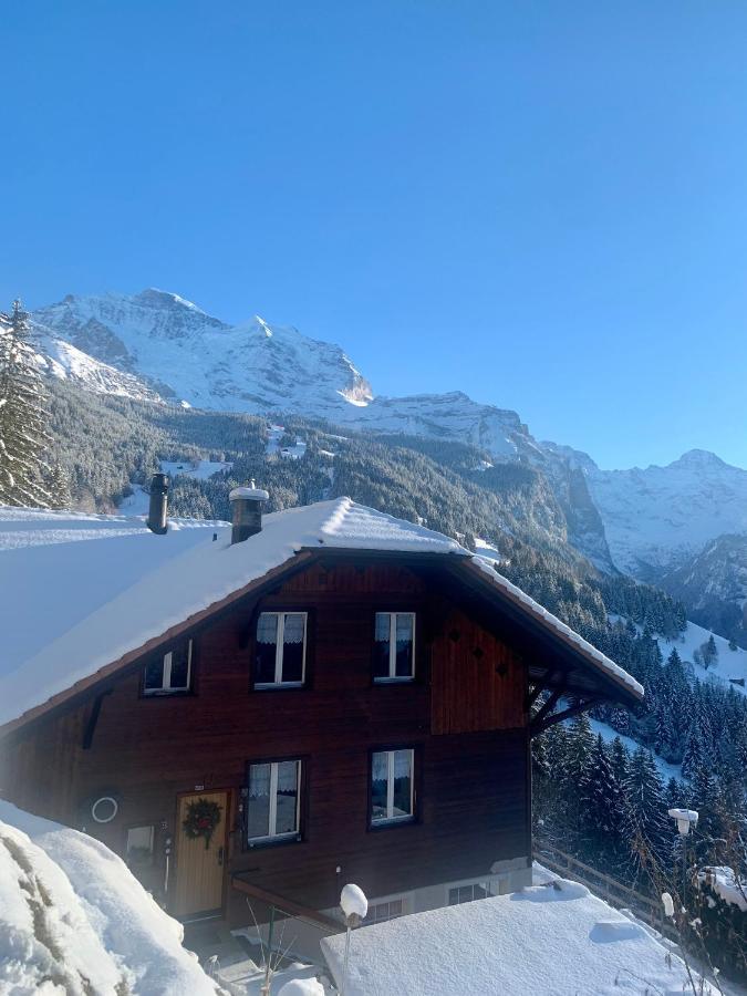 Chalet Aargovia Wengen Exteriör bild